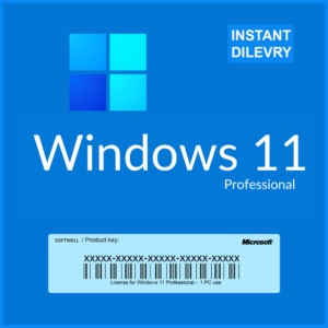 Windows 11 Professional License Key