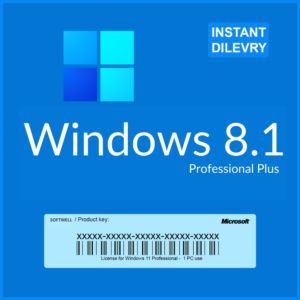 Windows 8.1 Professional License Key